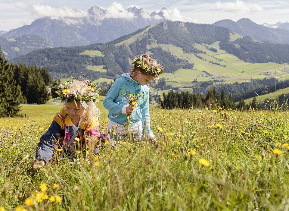 Sommer in den Bergen